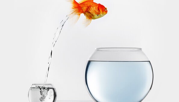 Why Upgrade your Magento Ecommerce Store from Magento 1 to Magento 2